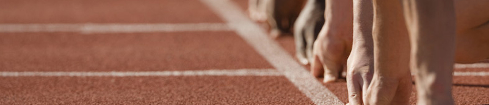 Solicitação de PPP