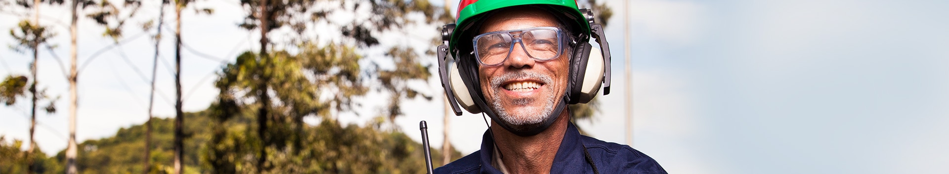 Lei da Transparência