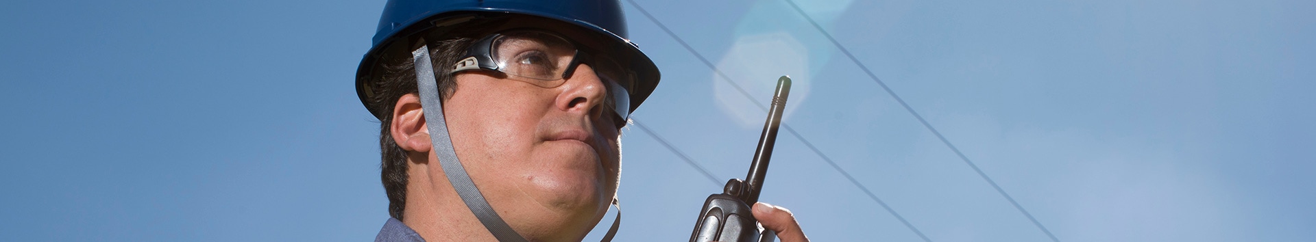 Management Structure