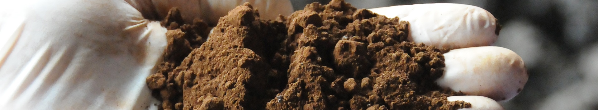 Gestão de Resíduos e Coprodutos