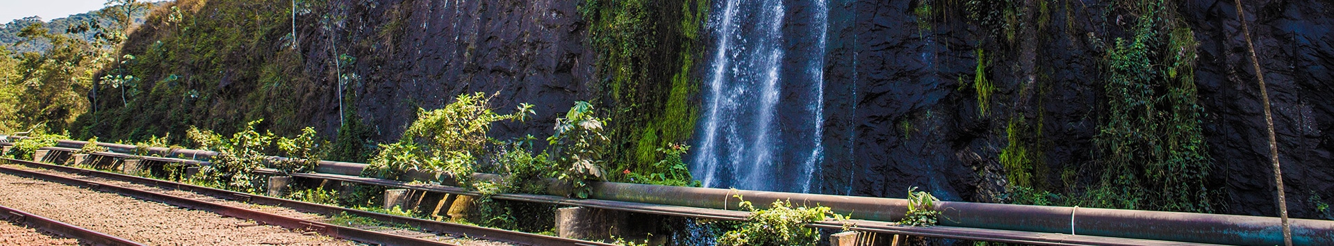 Environmental Management Systems