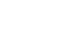 Agile Culture