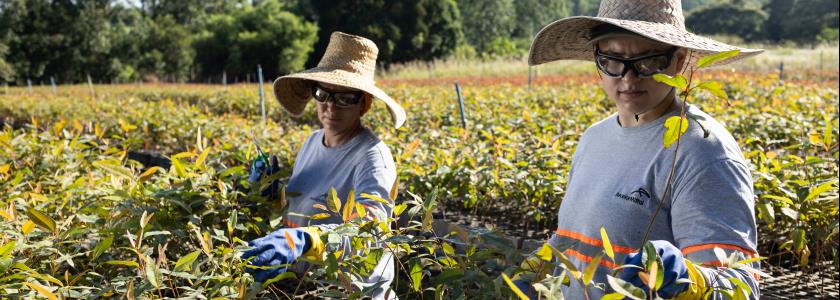 ArcelorMittal consolida iniciativas voltadas a um futuro mais sustentável